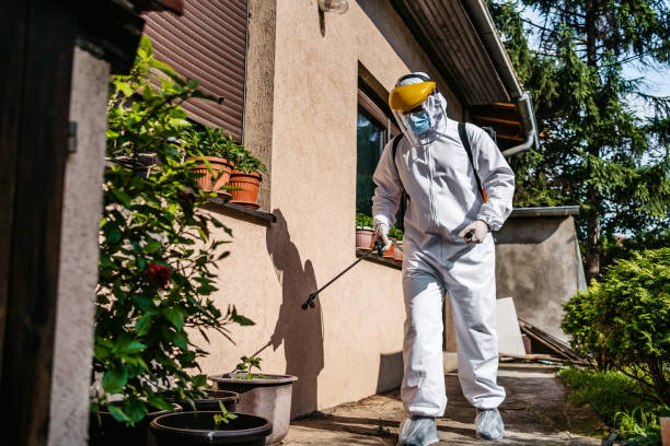 Best Rat Extermination Near Me  in Swartz Creek, MI
