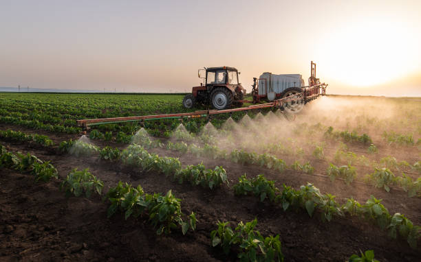 Best Pest Removal Services  in Swartz Creek, MI
