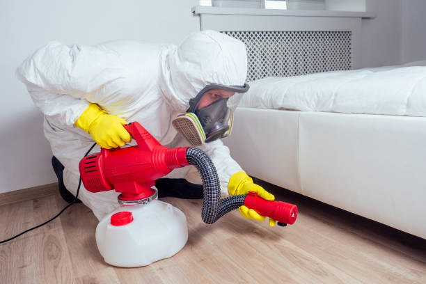 Best Emergency Pest Control  in Swartz Creek, MI
