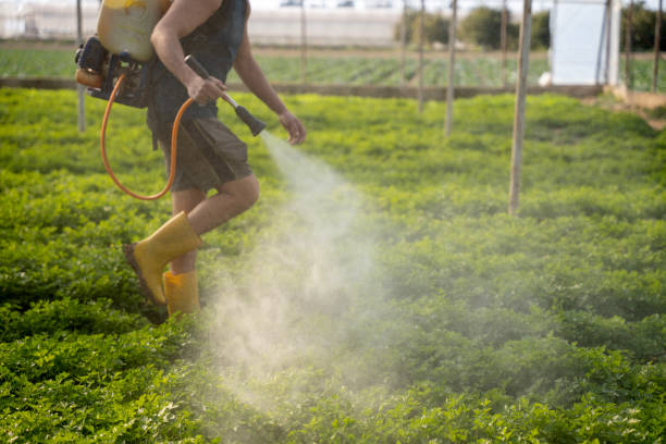 Pest Control for Restaurants in Swartz Creek, MI