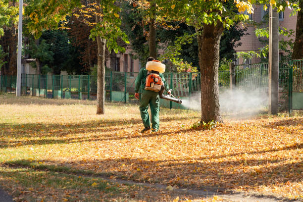  Swartz Creek, MI Pest Control Pros