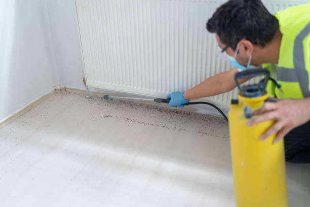 Best Affordable Pest Control Services  in Swartz Creek, MI