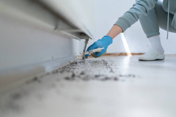 Best Exterminator Services  in Swartz Creek, MI
