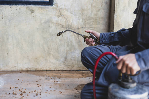 Best Commercial Pest Control Services  in Swartz Creek, MI
