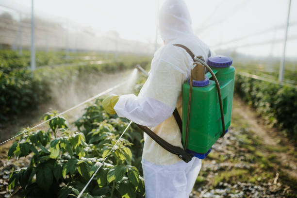 Best Ant Control Services  in Swartz Creek, MI